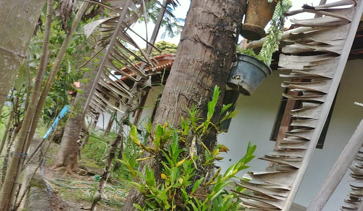 WhatsApp Image 2024-03-08 at 14.50.09 (1)